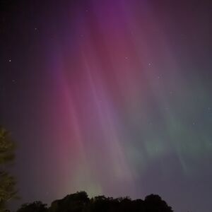 Meet your Posher, Tina